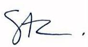 Steve Lyons signature